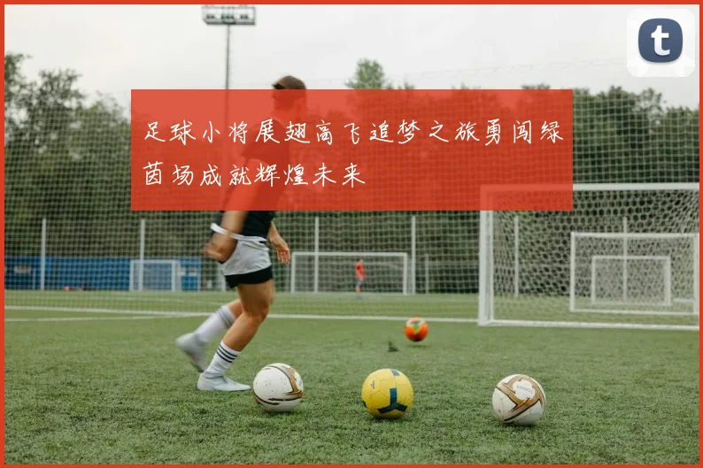 足球小将展翅高飞追梦之旅勇闯绿茵场成就辉煌未来
