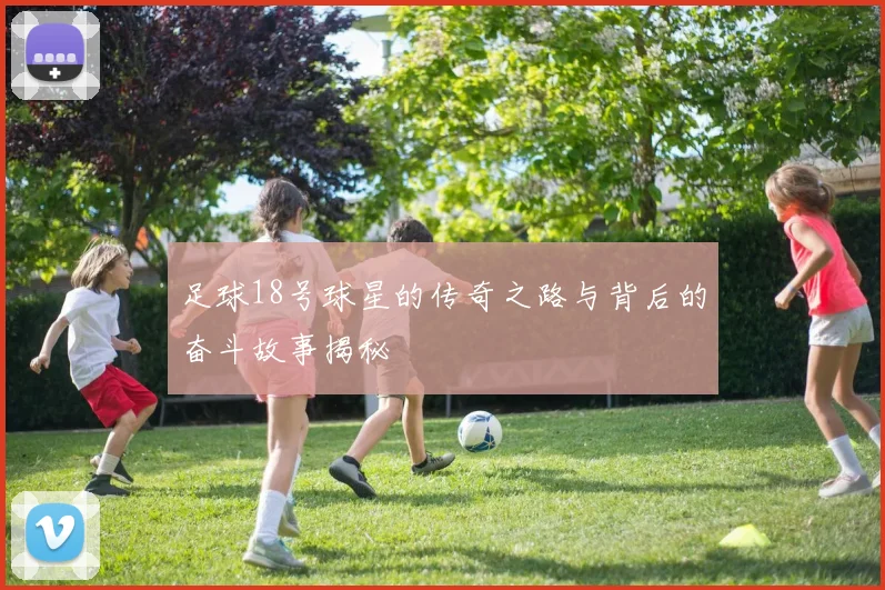足球18号球星的传奇之路与背后的奋斗故事揭秘