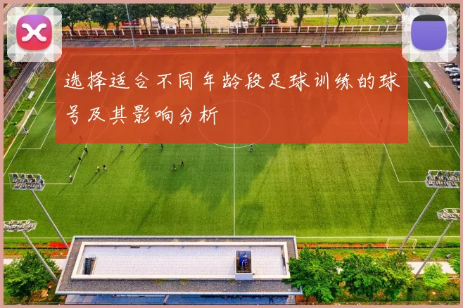 选择适合不同年龄段足球训练的球号及其影响分析
