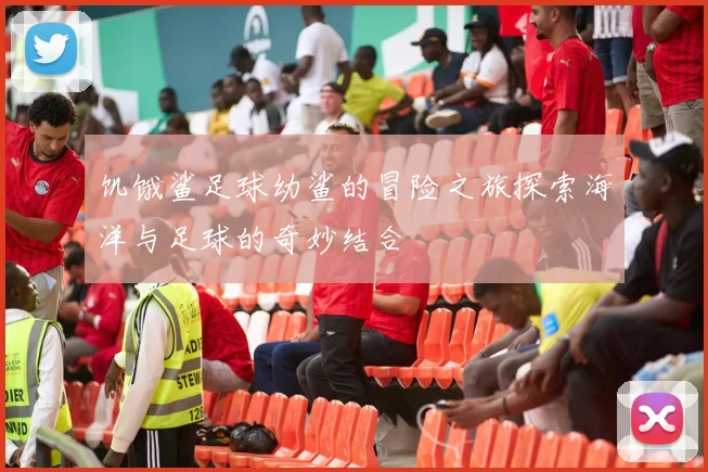 饥饿鲨足球幼鲨的冒险之旅探索海洋与足球的奇妙结合